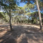 Camping Domaine Du Pin De La Legue *