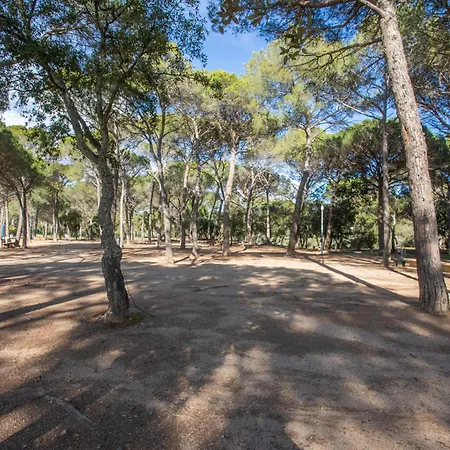 营地 Domaine Du Pin De La Legue *